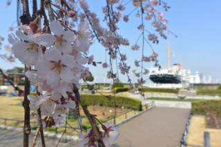 美術家たちが自然をどのように表現してきたかを紹介する横浜美術館のコレクション展「自然を映す」