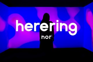 音と色の共感覚をテーマとしたインスタレーションの展示イベント「herering」