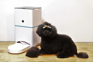 スマホで給餌できるIoTデバイス「ハチたま」が月額500円でレンタル開始