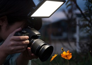サンワ、パネル型で被写体を均一に照らす常時点灯式カメラ用LEDライトを発売