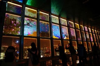 東京タワー大展望台で夜桜見物！プロジェクションマッピングの幻想夜桜を夜景と共に