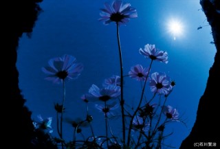 満月の光だけを頼りに撮影を続ける石川賢治氏の写真展「月光浴 青い星 BLUE PLANET」