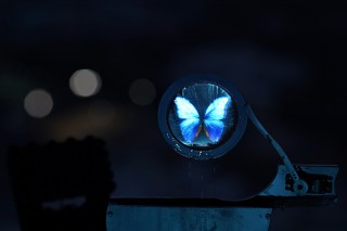 ヤフーのオフィス内を回遊する形式で落合陽一氏の作品が展示される「ジャパニーズテクニウム展」