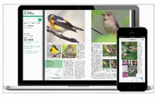 野鳥・植物図鑑が読み放題のサイト「図鑑.jp」、5月中の無料キャンペーン開始