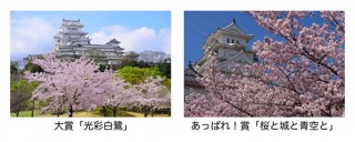 城好きのためのWebサイト「攻城団」が“姫路城と春”をテーマとしたフォトコンテストを開催