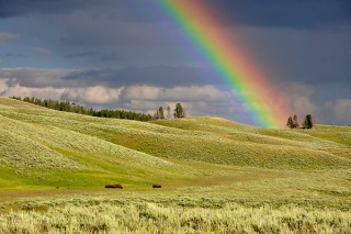 虹を連想させる写真を募集している「#レインボーチャペル Instagramキャンペーン」