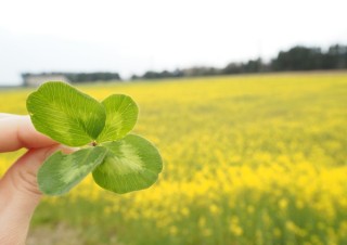学生による作品の展示で福島の復興を応援する写真展「学生が撮影した楢葉町の魅力」