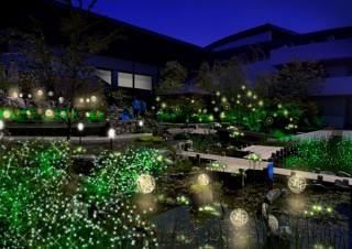ホタルをテーマにイルミネーション演出や体験プログラムも展開される京都水族館のイベント「ほたるの夜」