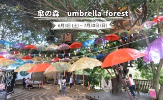 千葉のツリーハウス「椿森コムナ」で梅雨を彩るイベント「傘の森」開催