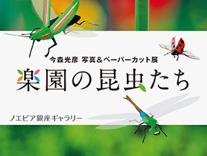 今森光彦氏が写真と切り紙のそれぞれの作品で表現している展覧会「楽園の昆虫たち」