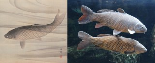 博物館の収蔵品に登場する生物を水族館で見られる連携企画イベント「すいぞくかんとはくぶつかん」