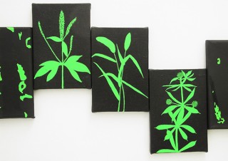 “雑草”をテーマとしたアート作品を展示する小林俊哉氏の個展「何も語らざるものたち。-雑草-」