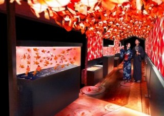 150個の金魚ちょうちんや約1000匹の金魚が泳ぐ｢東京金魚ワンダーランド｣開催。すみだ水族館