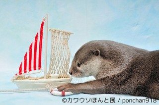 SNSでも人気が高いカワウソだらけの合同写真展「カワウソほんと展」がスタート
