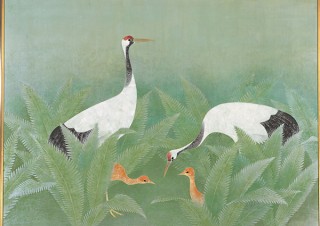 アトリエ唳禽荘から生まれた花鳥画など約60点が展示される「鳥たちが教えてくれたこと」