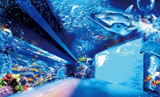 仙台うみの杜水族館の大水槽に「360° 大パノラマプロジェクションマッピング」が誕生