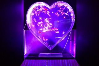 金魚と紙製造花のコラボレーションなど美しい展示で淡水魚を楽しめる「アクアリウム展」が開催