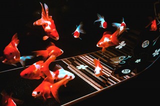 金魚と和硝子のコラボで幻想的な世界を表現したガラスアートの展示会が開催