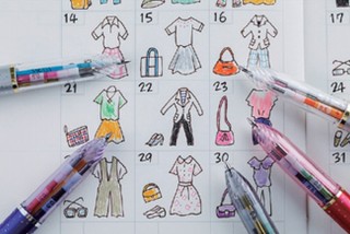 圧倒的挫折率を誇る日記、ならば絵日記にしてはどうかとゼブラが提案