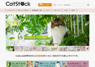 猫の画像を集めた見ているだけでも楽しいストックフォトサイト「CatStock」がオープン