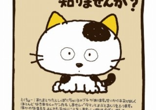 ヴィレヴァン、80年代の可愛さが溢れる「うちのタマ知りませんか？」グッズ発売