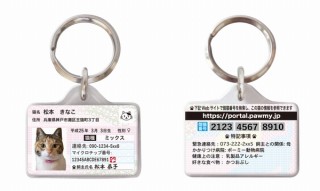 個猫情報が詰まった「マイニャンバー迷子札」発売、猫の飼主へ連絡がしやすくSNS機能もあり