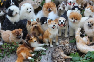 まるで生きているような動物を羊毛と針で作り上げている「中山みどりフェルトアート展」