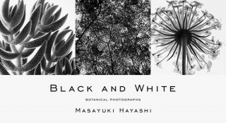 植物の生命力をモノトーンで表現した林雅之氏の写真展「BLACK AND WHITE」