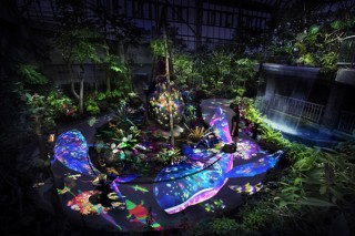 特別に開場する夜の植物館でチームラボの作品を展示する企画がスタート
