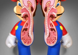 アニメやおもちゃのキャラを次々と解剖するジェイソン・フリーニーの個展「Plastic Surgeon」