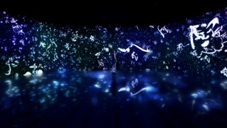 書家の紫舟氏とチームラボがコラボしたデジタルアートを楽しめる「Love Letter Project’ 17」展