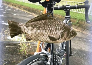 上海問屋、リアルな魚が描かれたマルチフィッシュケースの第2弾「フナ」を発売