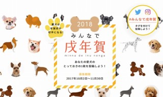 年賀状の準備はお早めに、郵便局の年賀状サイト「郵便年賀.jp」が多様なコンテンツを揃えてオープン