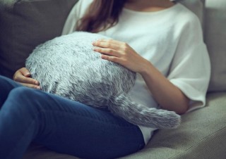ふわふわのクッションに動くしっぽをつけたセラピーロボット「Qoobo」が資金調達に成功