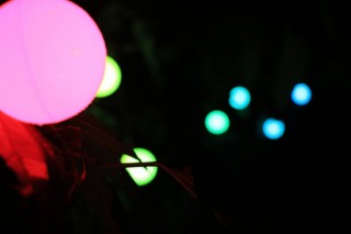 林檎の木にセンサーを付けて光る楽器にする収穫祭イベント「林檎畑でイルミネーション」