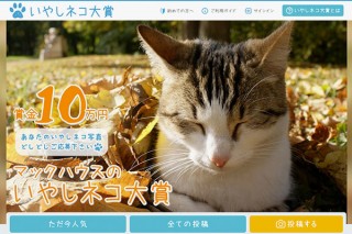 マックハウスの写真投稿サイト“いやしネコ大賞”で「いやしネコmovie」の募集がスタート