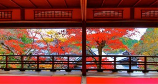 美しい秋の紅葉も楽しめる柳谷観音 楊谷寺で「柳谷アートフェア 2017」が開催