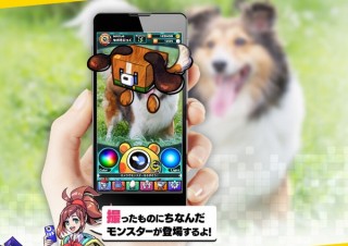 セガ、カメラで人や物を撮るとモンスターに変換してバトルする「パシャ★モン」発表