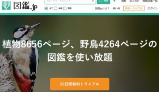 「図鑑.jp」、無料会員登録で植物・野鳥の図鑑が読み放題になる「無料トライアル」開始