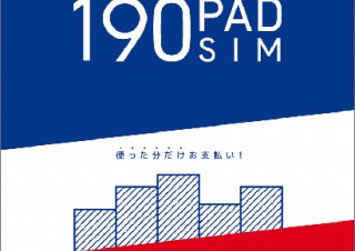 日本通信、ソフトバンクのSIMロックiPadにも使える月額190円のSIMサービスを提供開始