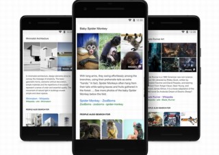 Google、検索結果の表示に“写真”を追加したり“他の人はこちらも検索”を追加
