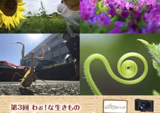 身近な自然で見つけた感動の写真を募集している「第3回わぉ！な生きものフォトコンテスト」
