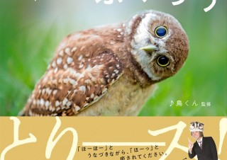 愛くるしさ全開の写真集「かわいいふくろう」発売