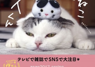 無防備、超脱力、だから癒される……。大人気の猫アイドル写真集「ぐでねこ ライくん」発売