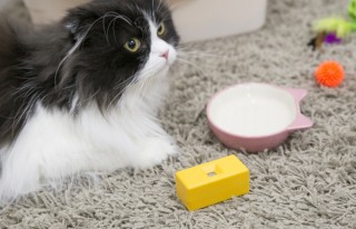 ユカイ工学、コミュニケーションロボット「BOCCO」と連動する「人感センサ」を発売