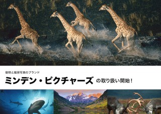 写真提供のアフロが、世界的フォトエージェンシー「ミンデン・ピクチャーズ」のコンテンツの取扱いを開始