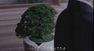 TDK、AI搭載で対話したり水をねだったりする盆栽「BonsAI」のコンセプトムービーを公開