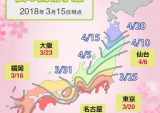 桜の開花予測はAIにお任せ、ビッグデータ活用で全国630地点を予測。東京満開は3/28