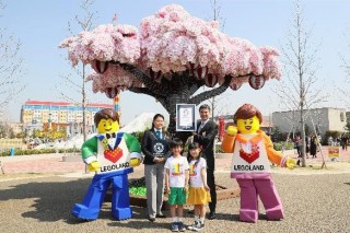 LEGOLAND Japan、「レゴブロックで作られた最大の桜の木」のギネス世界記録認定を発表