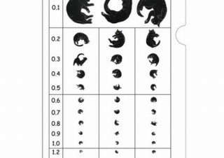 視力検査がにゃんとも楽しくなる「猫の視力検査風クリアファイル」、ヴィレヴァンから
